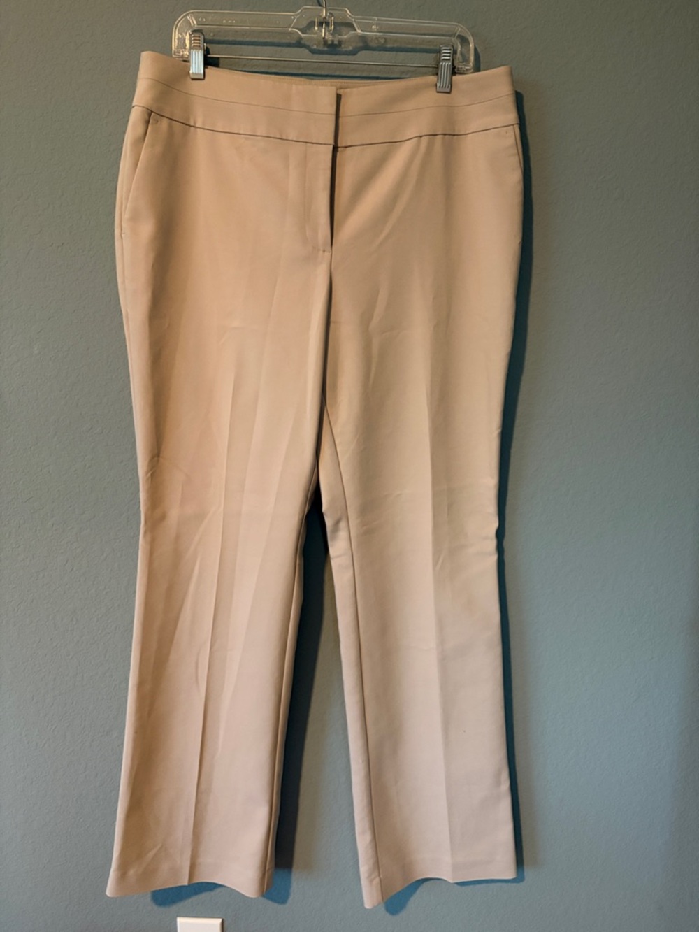 Ann Taylor Light Beige Tailored Dress Trousers